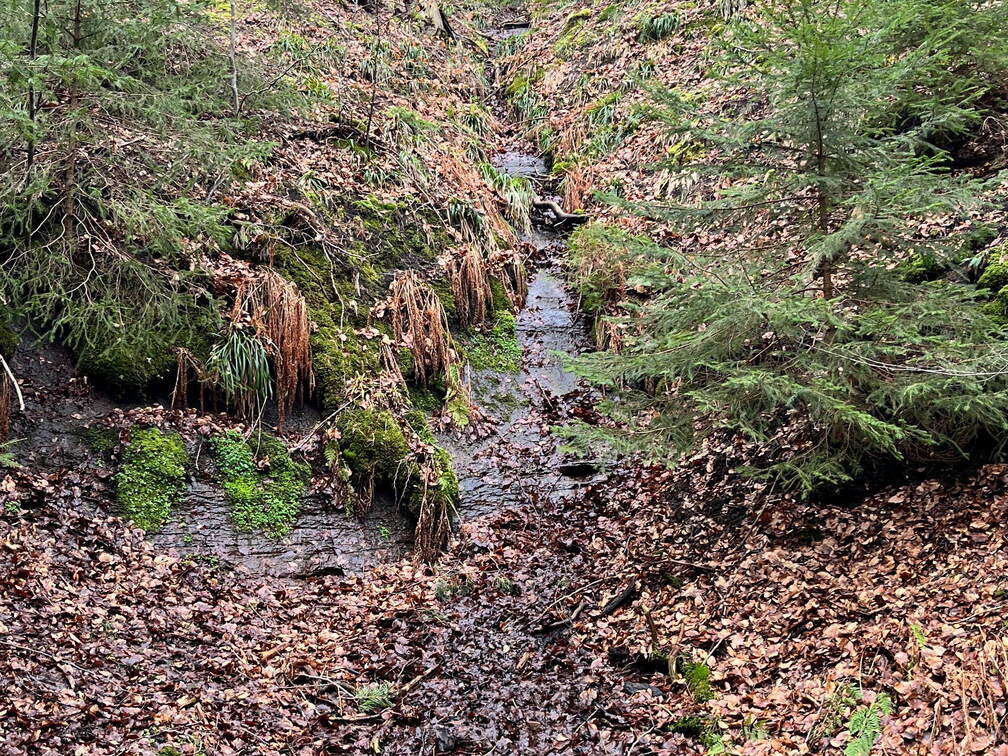 24-02-28 11-31-32 8766